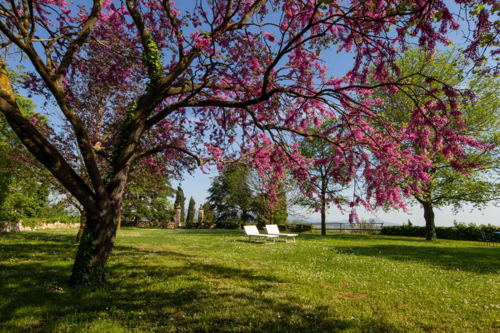 Il Castello Villa Barbarano Vicentino Kültér fotó